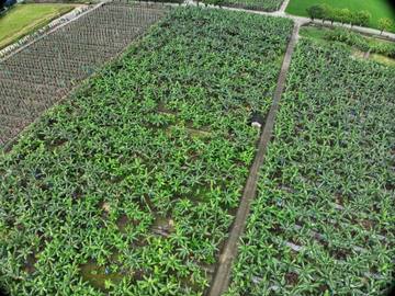 DJI_20260617082550_0027_D.jpg